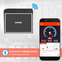 40Ah 12V Lifepo 4 Lithium Batterie | Akku mit BMS, Bluetooth