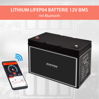 80Ah 12V Lifepo 4 Lithium Batterie | Akku mit BMS, Bluetooth