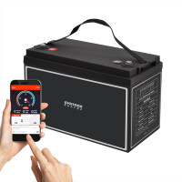 100Ah 12V Lifepo 4 Lithium Batterie | Akku mit BMS,...