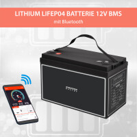 100Ah 12V Lifepo 4 Lithium Batterie | Akku mit BMS, Bluetoot