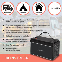 100Ah 12V Lifepo 4 Lithium Batterie | Akku mit BMS, Bluetoot