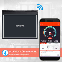 60Ah 12V Lifepo 4 Lithium Batterie | Akku mit BMS, Bluetooth