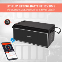 200Ah 12V Lifepo 4 Lithium Batterie | Akku mit BMS, Bluetoot