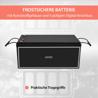 200Ah 12V Lifepo 4 Lithium Batterie | Akku mit BMS, Bluetoot