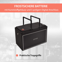 80Ah 12V Lifepo 4 Lithium Batterie | Akku mit BMS, Bluetooth