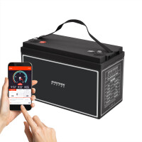 100Ah 12V Lifepo 4 Lithium Batterie | Akku mit BMS,...