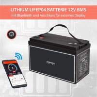 100Ah 12V Lifepo 4 Lithium Batterie | Akku mit BMS, Bluetoot