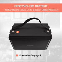 100Ah 12V Lifepo 4 Lithium Batterie | Akku mit BMS, Bluetoot