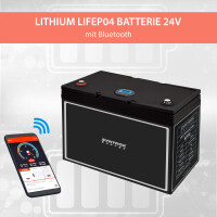 50Ah 24V Lifepo 4 Lithium Batterie | Akku mit BMS, Bluetooth