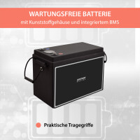 100Ah 24V Lifepo 4 Lithium Batterie | Akku mit BMS, Bluetoot